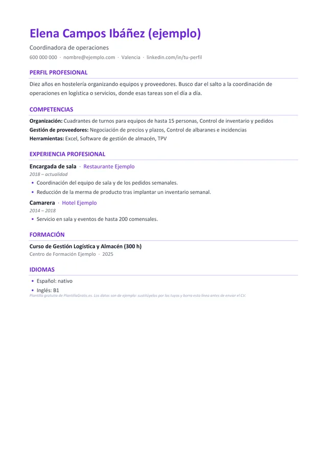 Vista previa de la plantilla de CV Funcional por competencias